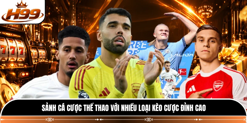 Sảnh cá cược thể thao với nhiều loại kèo cược đỉnh cao